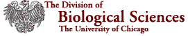 [
                    The Division of Biological Sciences ]